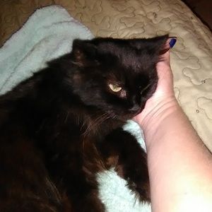 Meet your Posher, Shirley